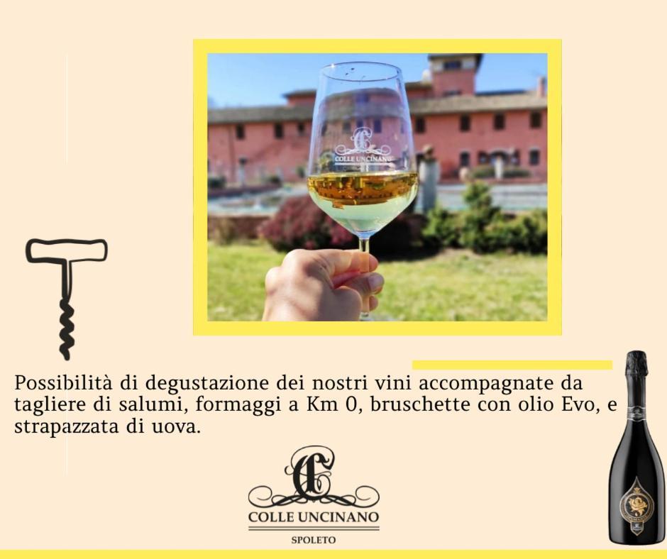 Agriturismo Il Molino Antico - 5 Girasoli Spoleto Luaran gambar